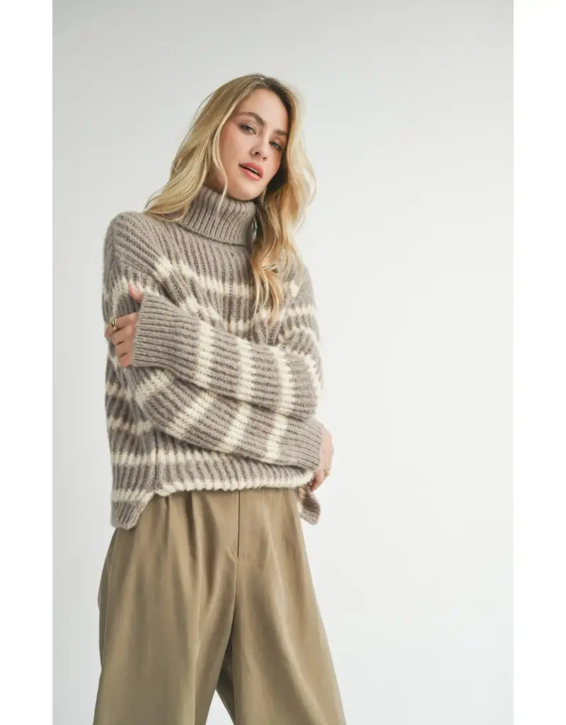  Aki Turtleneck Striped Sweater      