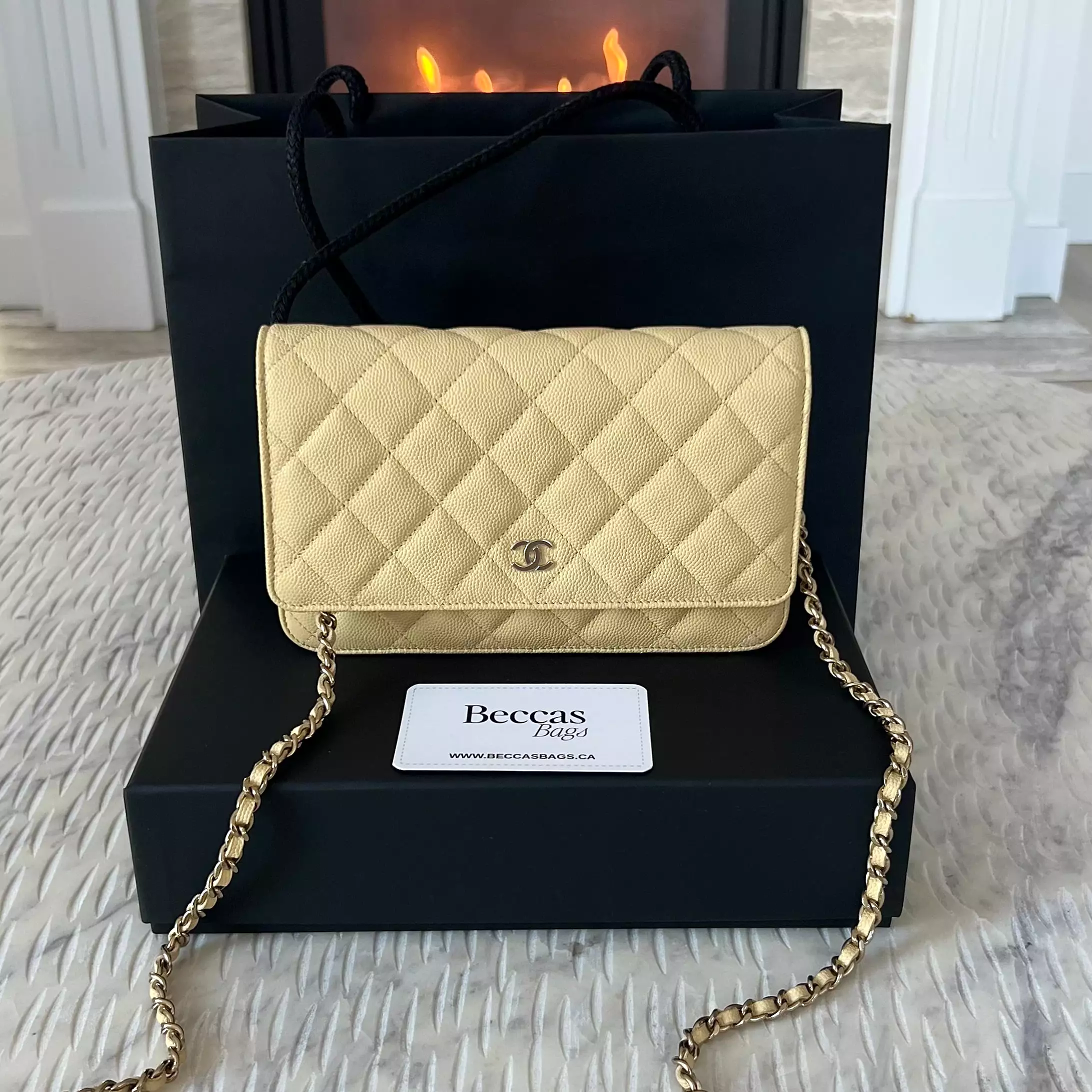 Chanel Wallet On Chain Bag