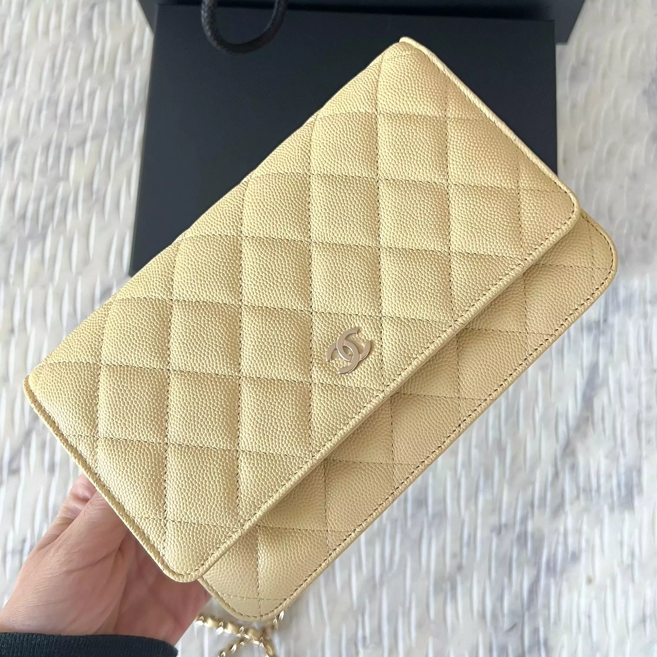 Chanel Wallet On Chain Bag