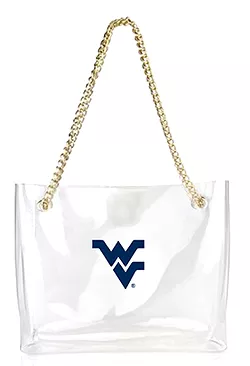 CLEAR HAND BAG WITH GOLD CHAIN