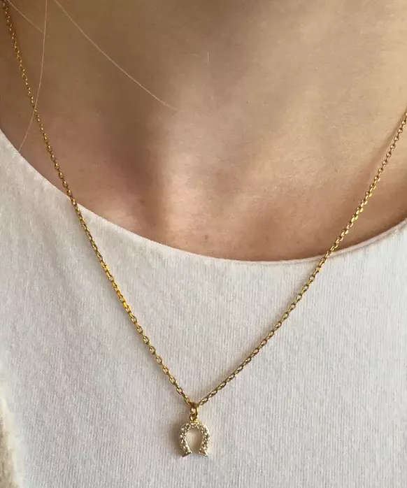 Horseshoe Crystal Necklace - Gold